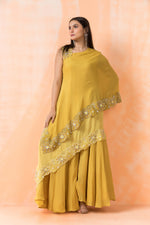 Designer Indo Western Dress