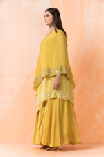 Designer Indo Western Dress