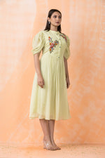 Knee Length Designer Dress