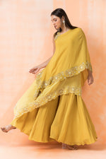 Designer Indo Western Dress